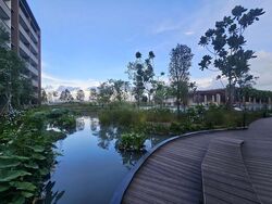 Pasir Ris Central (D18), Condominium #467741411